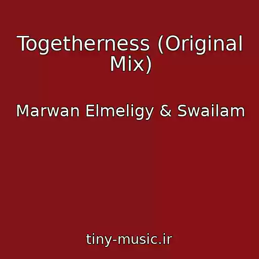 کاور آهنگ Togetherness (Original Mix) از Marwan Elmeligy & Swailam