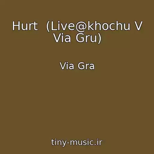 کاور آهنگ Hurt  (Live@khochu V Via Gru) از Via Gra
