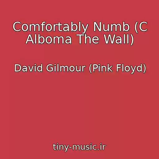 کاور آهنگ Comfortably Numb (C Alboma The Wall) از David Gilmour (Pink Floyd)
