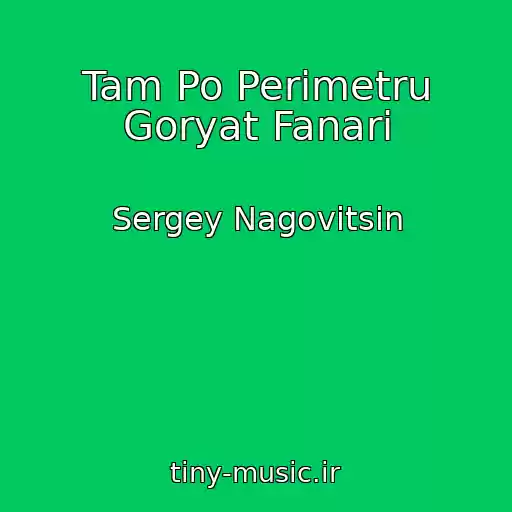 کاور آهنگ Tam Po Perimetru Goryat Fanari از Sergey Nagovitsin
