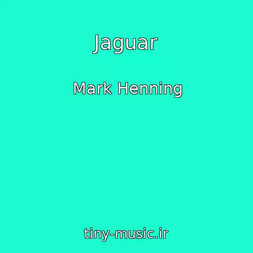 کاور آهنگ Jaguar از Mark Henning