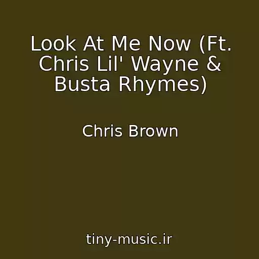 کاور آهنگ Look At Me Now (Ft. Chris Lil' Wayne & Busta Rhymes) از Chris Brown
