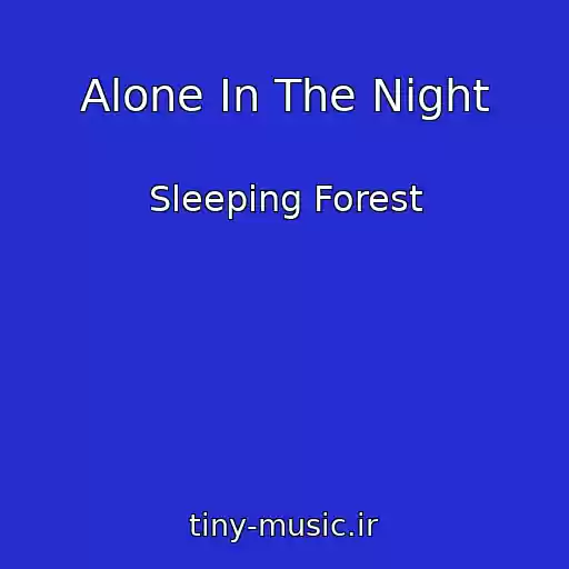 کاور آهنگ Alone In The Night از Sleeping Forest