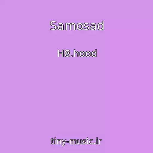 کاور آهنگ Samosad از H8.hood