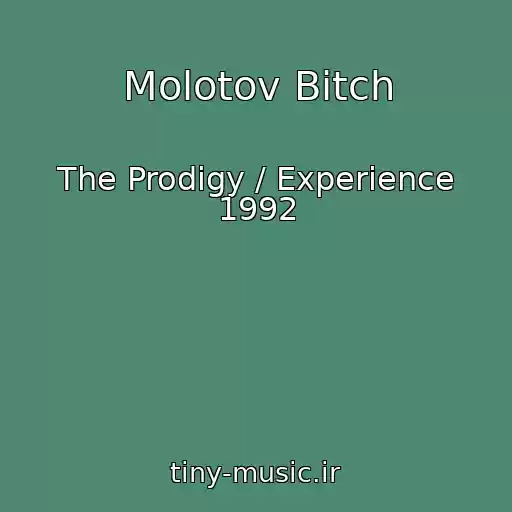 کاور آهنگ Molotov Bitch از The Prodigy / Experience 1992
