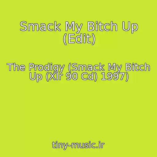 کاور آهنگ Smack My Bitch Up (Edit) از The Prodigy (Smack My Bitch Up (Xlr 90 Cd) 1997)