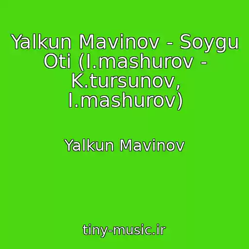 کاور آهنگ Yalkun Mavinov - Soygu Oti (I.mashurov - K.tursunov, I.mashurov) از Yalkun Mavinov