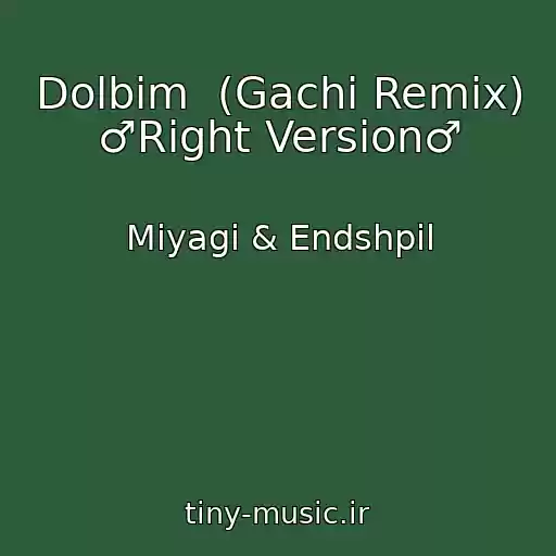 کاور آهنگ Dolbim  (Gachi Remix) ♂Right Version♂ از Miyagi & Endshpil