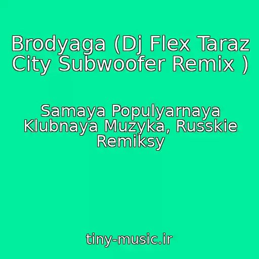 کاور آهنگ Brodyaga (Dj Flex Taraz City Subwoofer Remix ) از Samaya Populyarnaya Klubnaya Muzyka, Russkie Remiksy