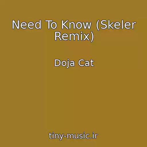 کاور آهنگ Need To Know (Skeler Remix) از Doja Cat