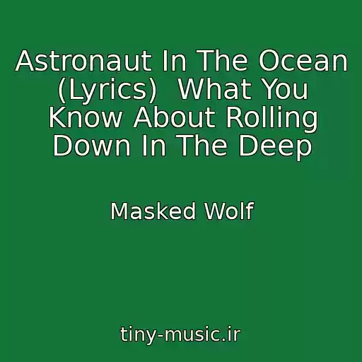 کاور آهنگ Astronaut In The Ocean (Lyrics)  What You Know About Rolling Down In The Deep از Masked Wolf