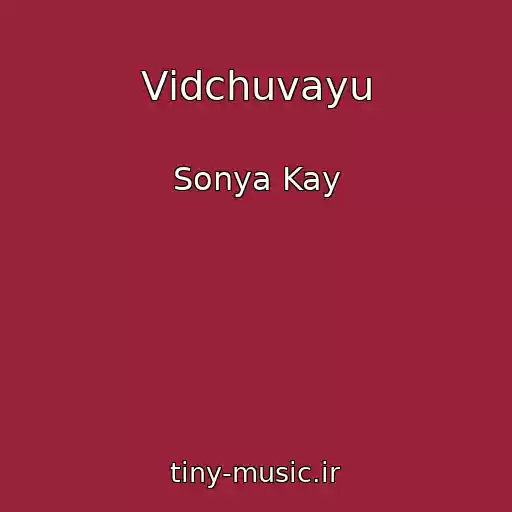 کاور آهنگ Vіdchuvayu از Sonya Kay