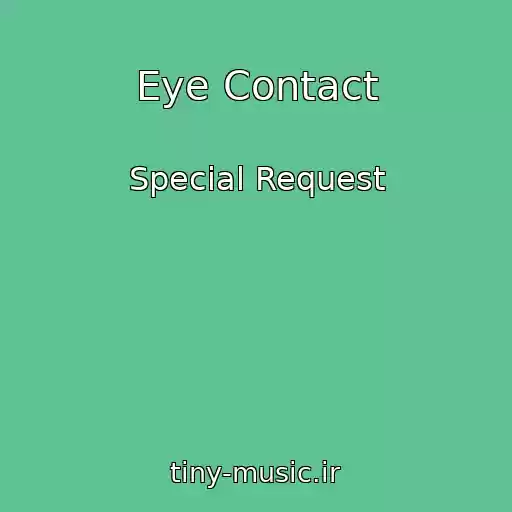 کاور آهنگ Eye Contact از Special Request