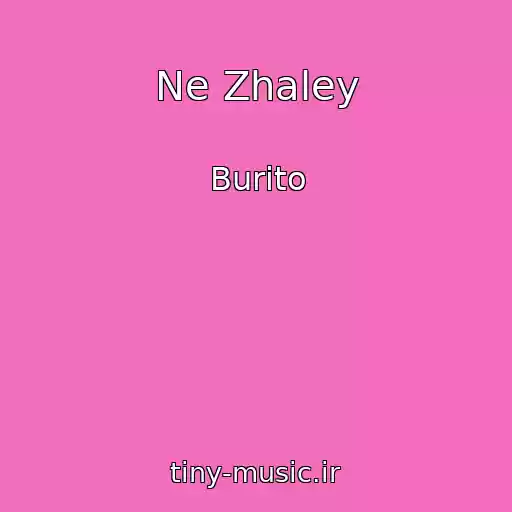 کاور آهنگ Ne Zhaley از Burito