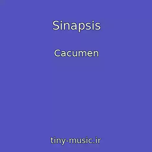 کاور آهنگ Sinapsis از Cacumen
