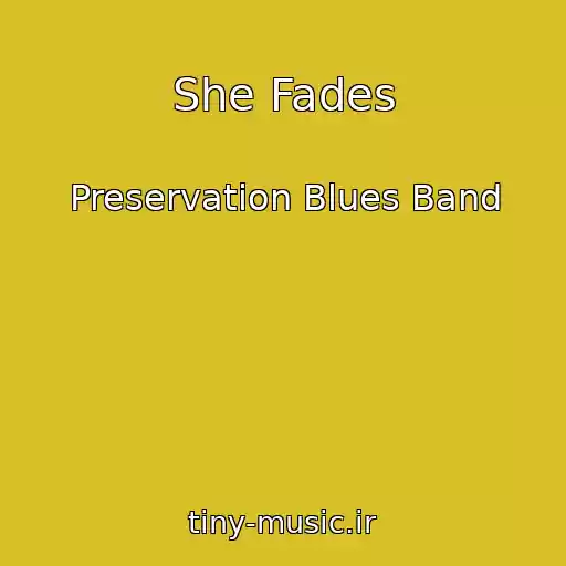کاور آهنگ She Fades از Preservation Blues Band