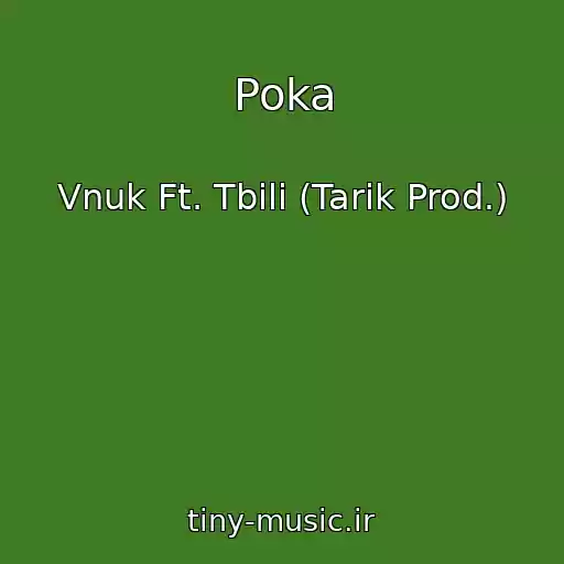 کاور آهنگ Poka از Vnuk Ft. Tbili (Tarik Prod.)