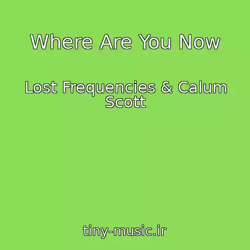 کاور آهنگ Where Are You Now از Lost Frequencies & Calum Scott