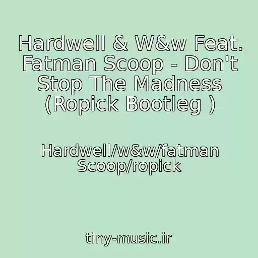کاور آهنگ Hardwell & W&w Feat. Fatman Scoop - Don't Stop The Madness (Ropick Bootleg ) از Hardwell/w&w/fatman Scoop/ropick