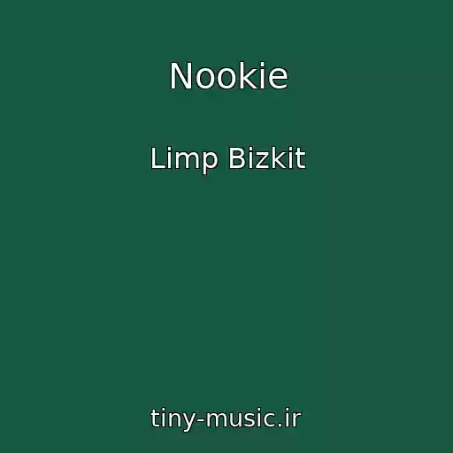 کاور آهنگ Nookie از Limp Bizkit