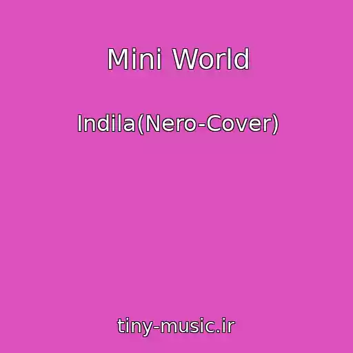 کاور آهنگ Mini World از Indila(Nero-Cover)