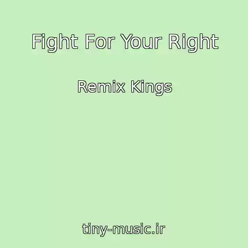 کاور آهنگ Fight For Your Right از Remix Kings