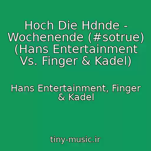 کاور آهنگ Hoch Die Hdnde - Wochenende (#sotrue) (Hans Entertainment Vs. Finger & Kadel) از Hans Entertainment, Finger & Kadel