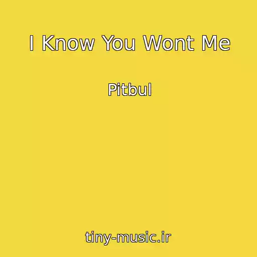 کاور آهنگ I Know You Wont Me از Pitbul