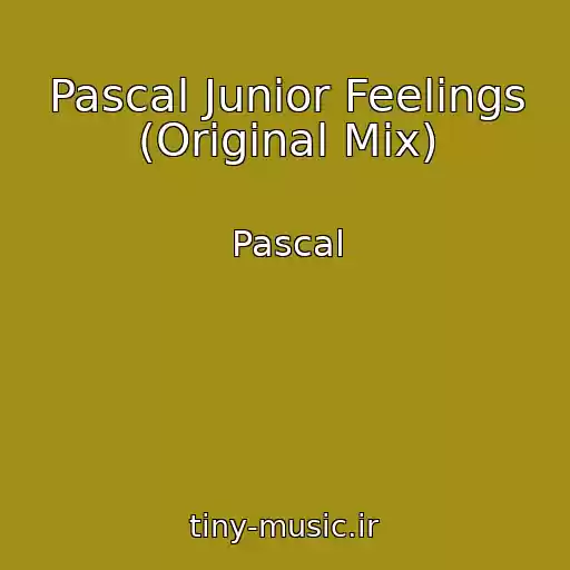 کاور آهنگ Pascal Junior Feelings (Original Mix) از Pascal