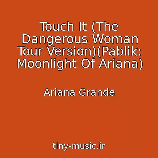 کاور آهنگ Touch It (The Dangerous Woman Tour Version)(Pablik: Moonlight Of Ariana) از Ariana Grande