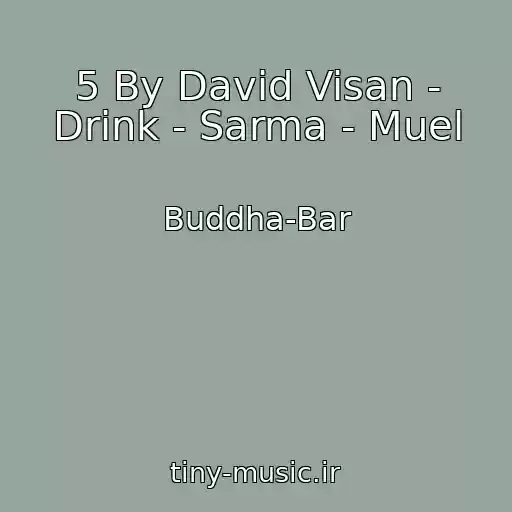 کاور آهنگ 5 By David Visan - Drink - Sarma - Muel از Buddha-Bar