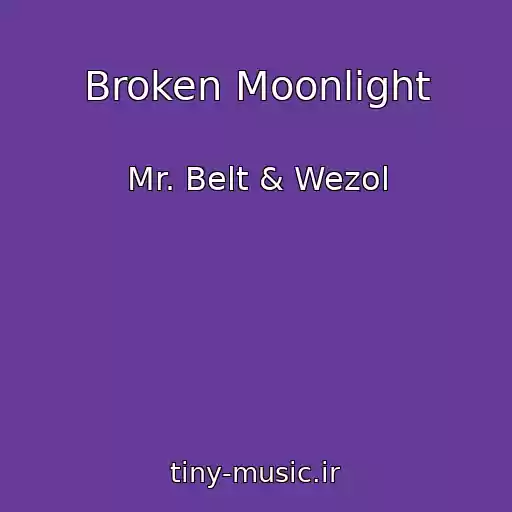 کاور آهنگ Broken Moonlight از Mr. Belt & Wezol