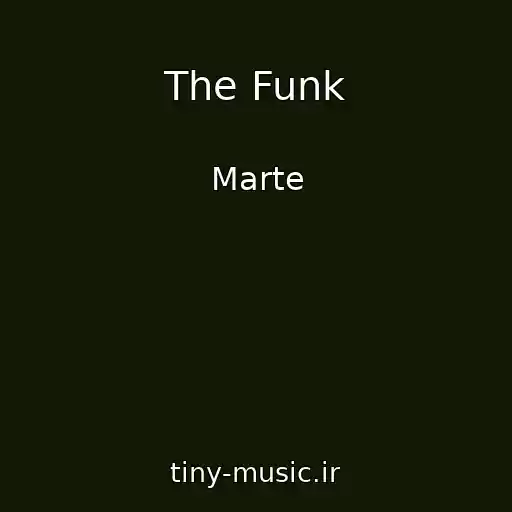 کاور آهنگ The Funk از Marte