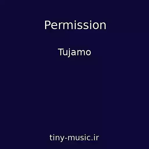کاور آهنگ Permission از Tujamo