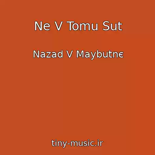کاور آهنگ Ne V Tomu Sut از Nazad V Maybutnє