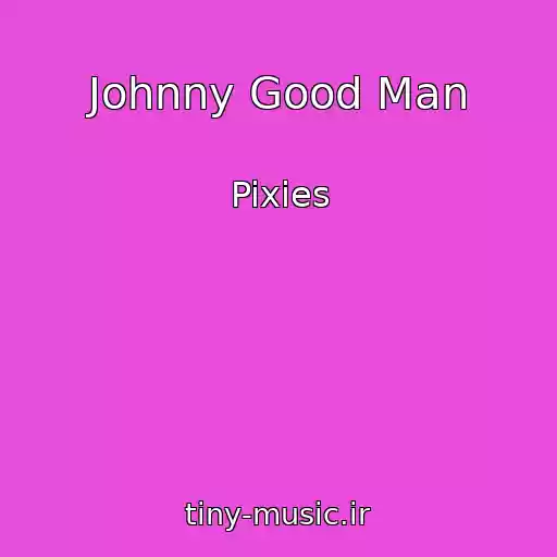کاور آهنگ Johnny Good Man از Pixies