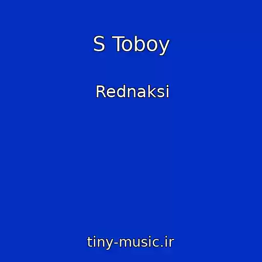 کاور آهنگ S Toboy از Rednaksi