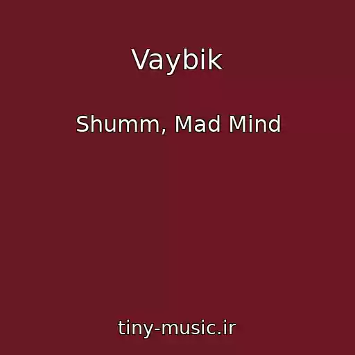 کاور آهنگ Vaybik از Shumm, Mad Mind