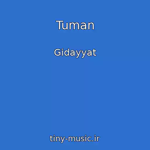 کاور آهنگ Tuman از Gidayyat