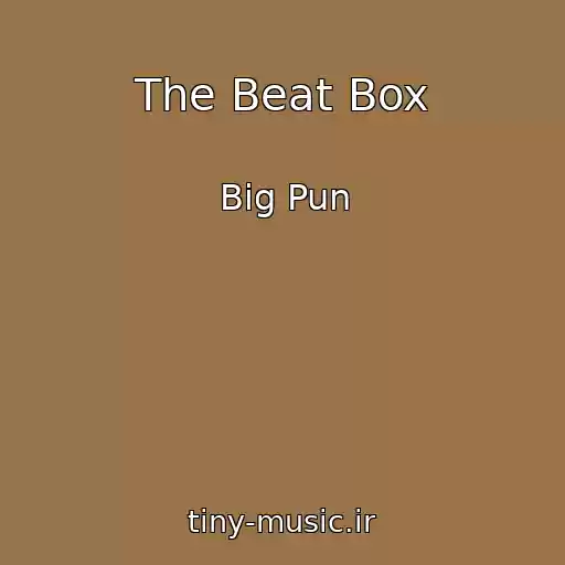 کاور آهنگ The Beat Box از Big Pun