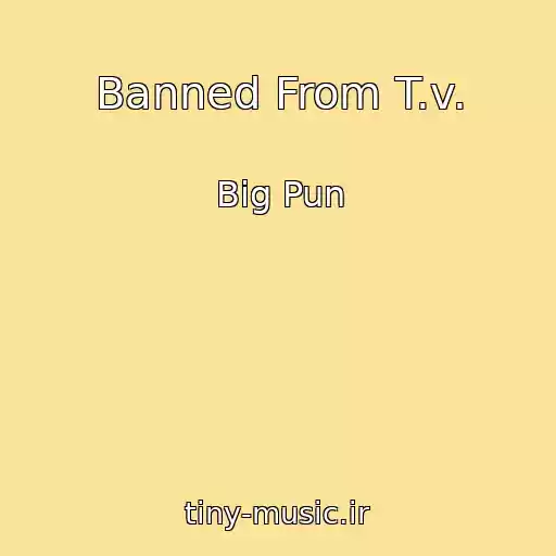 کاور آهنگ Banned From T.v. از Big Pun