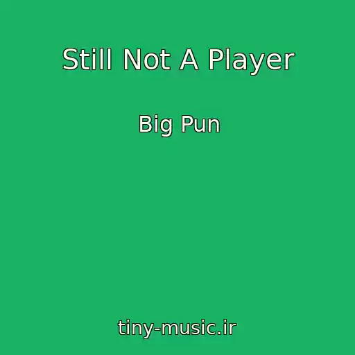 کاور آهنگ Still Not A Player از Big Pun