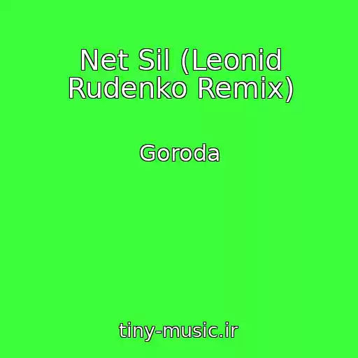 کاور آهنگ Net Sil (Leonid Rudenko Remix) از Goroda