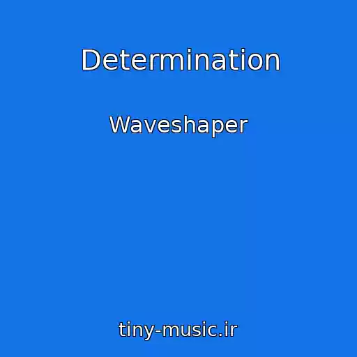 کاور آهنگ Determination از Waveshaper