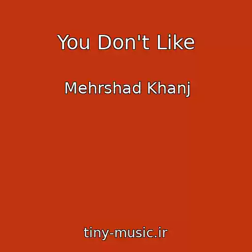 کاور آهنگ You Don't Like از Mehrshad Khanj
