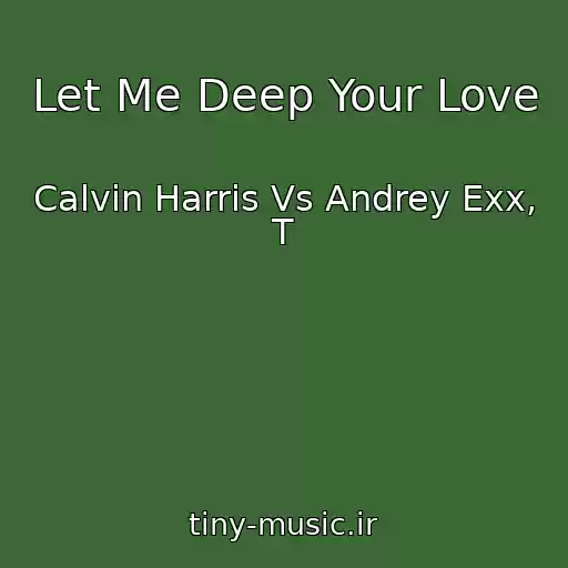 کاور آهنگ Let Me Deep Your Love از Calvin Harris Vs Andrey Exx, T