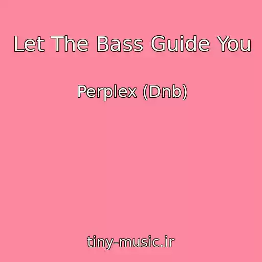 کاور آهنگ Let The Bass Guide You از Perplex (Dnb)
