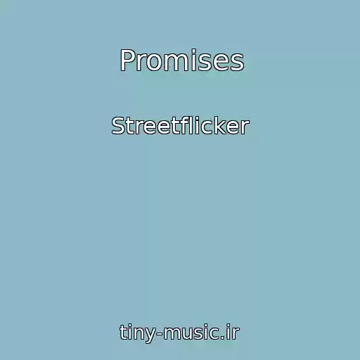کاور آهنگ Promises از Streetflicker