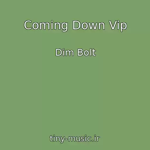 کاور آهنگ Coming Down Vip از Dim Bolt
