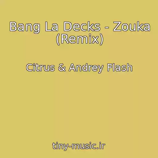 کاور آهنگ Bang La Decks - Zouka (Remix) از Citrus & Andrey Flash